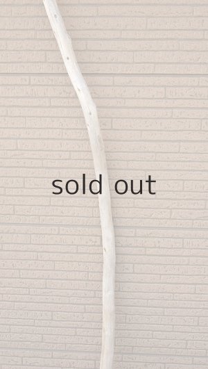 画像3: 棒流木・長尺