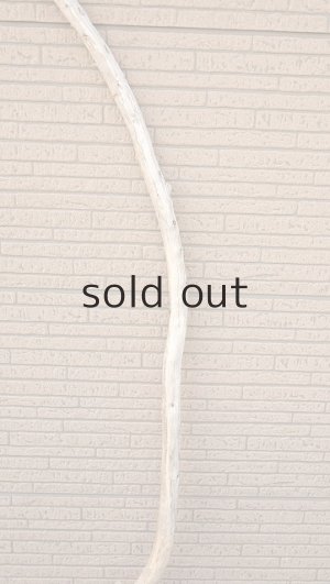 画像3: 棒流木・長尺