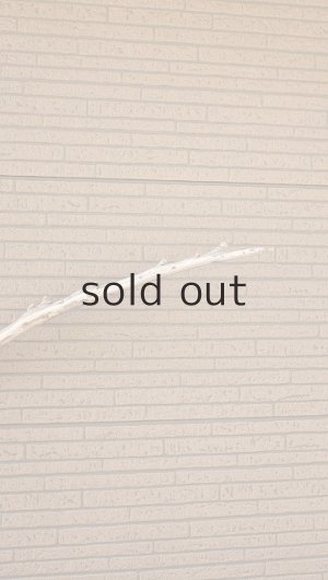 画像7: 棒流木・長尺