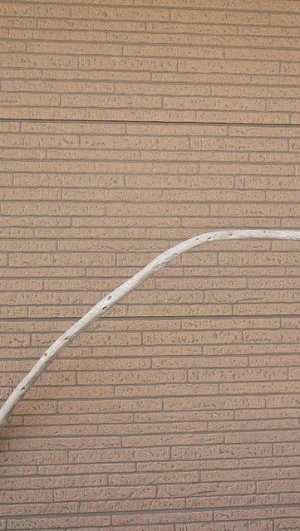 画像4: 棒流木・長尺