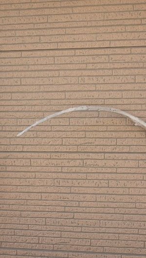 画像7: 棒流木・長尺