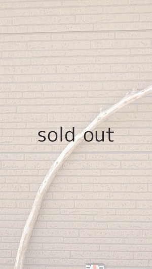 画像6: 棒流木・長尺