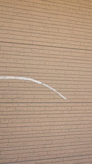 画像5: 棒流木・長尺