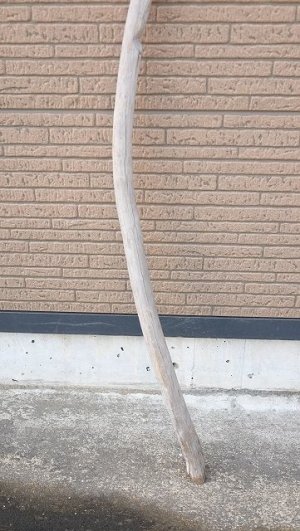 画像2: 棒流木・長尺