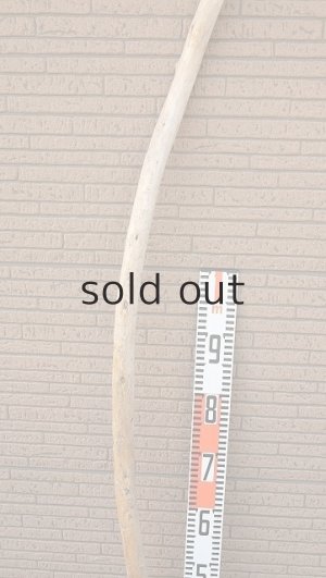 画像7: 棒流木・長尺