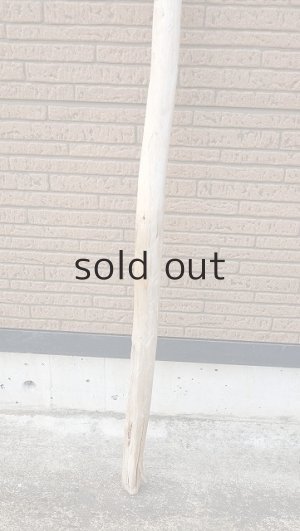 画像2: 棒流木・長尺