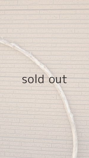 画像4: 棒流木・長尺