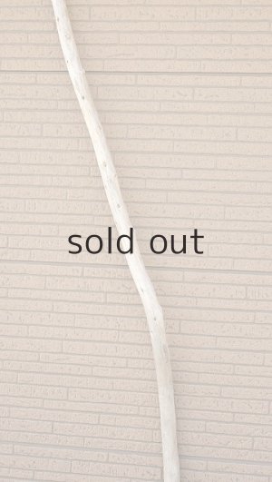 画像4: 棒流木・長尺