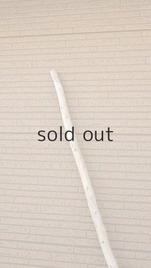 画像5: 棒流木・長尺