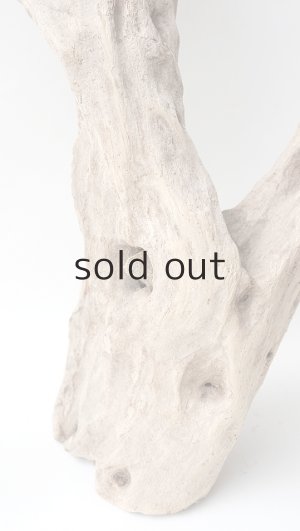 画像5: 変形流木