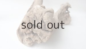 画像6: 変形流木