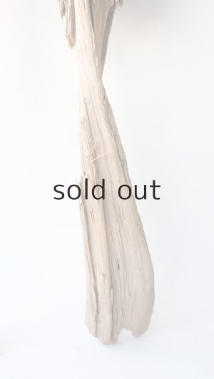 画像5: 変形流木