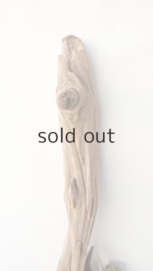 画像4: 変形流木