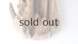 画像2: 中型　変形