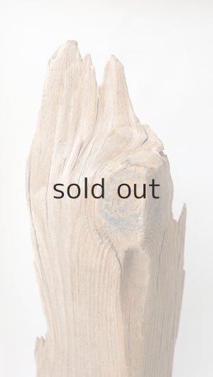 画像7: 中型　変形