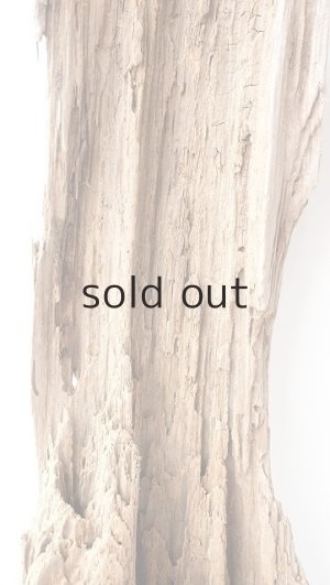 画像3: 中型　変形