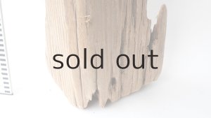 画像5: 中型　変形