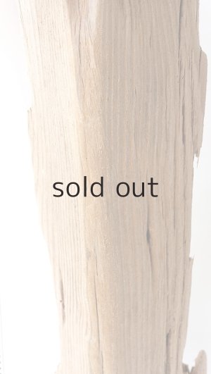 画像6: 中型　変形