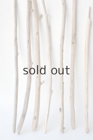 画像2: 棒流木セット