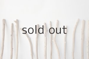 画像6: 棒流木セット