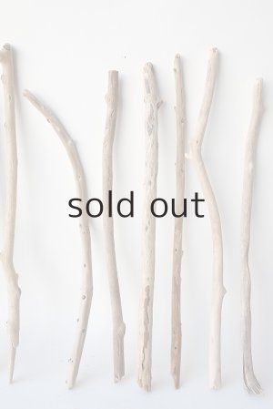 画像3: 棒流木セット