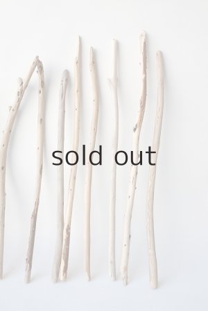 画像4: 棒流木セット