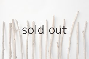 画像6: 棒流木セット