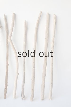 画像4: 棒流木セット