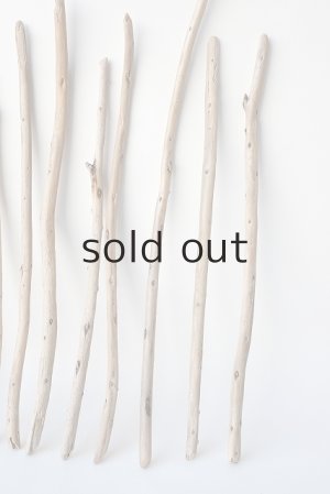 画像4: 棒流木セット