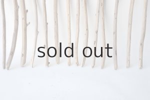 画像5: 棒流木セット