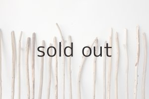 画像6: 棒流木セット