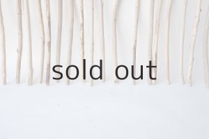 画像5: 棒流木セット