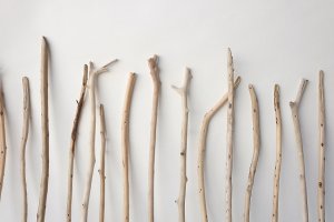 画像6: 棒流木セット