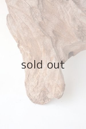 画像7: 変形流木