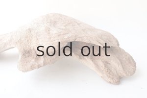 画像5: 変形流木