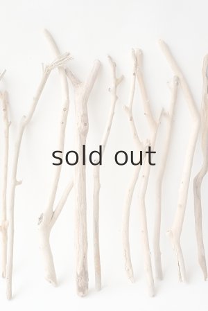 画像3: 小枝流木セット