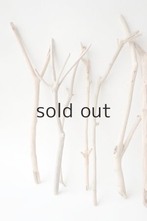 画像2: 小枝流木セット