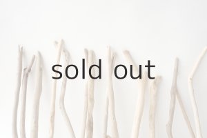 画像7: 小枝流木セット