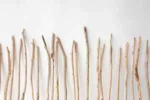 画像6: 棒流木セット