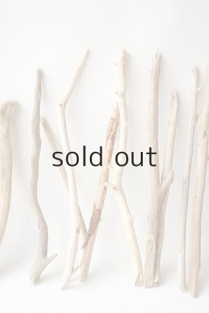 画像4: 小枝流木セット