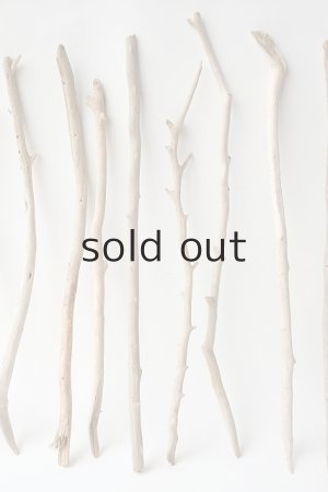 画像3: 小枝流木セット