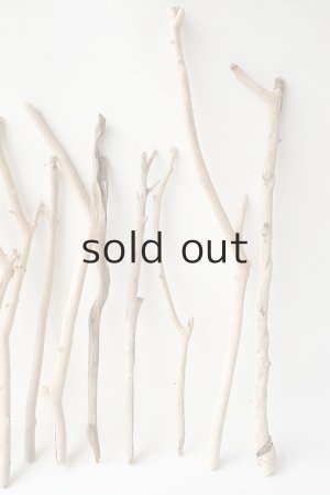 画像4: 小枝流木セット