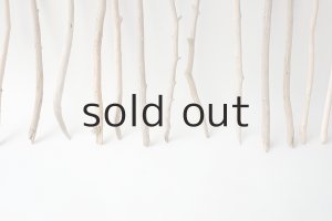 画像5: 小枝流木セット