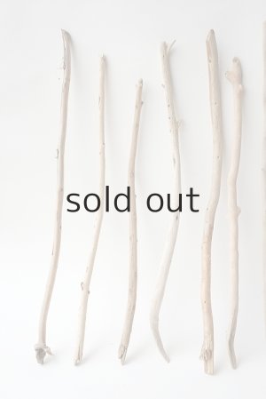 画像2: 小枝流木セット