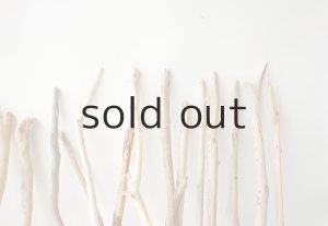 画像8: 小枝流木セット