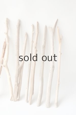 画像5: 小枝流木セット