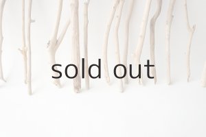 画像5: 小枝流木セット