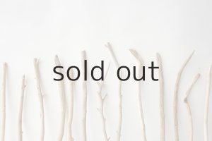 画像6: 小枝流木セット