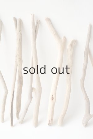 画像3: 小枝流木セット