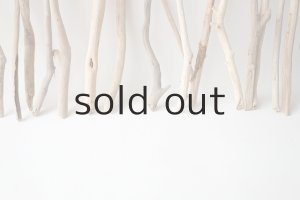 画像6: 小枝流木セット